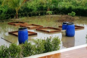 flooded square foot garden