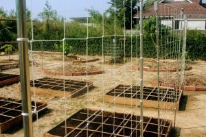 square foot garden trellises